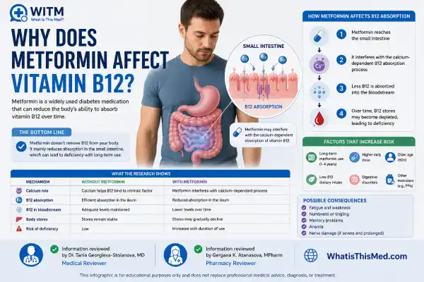 Should I Take Vitamin B12 With Metformin